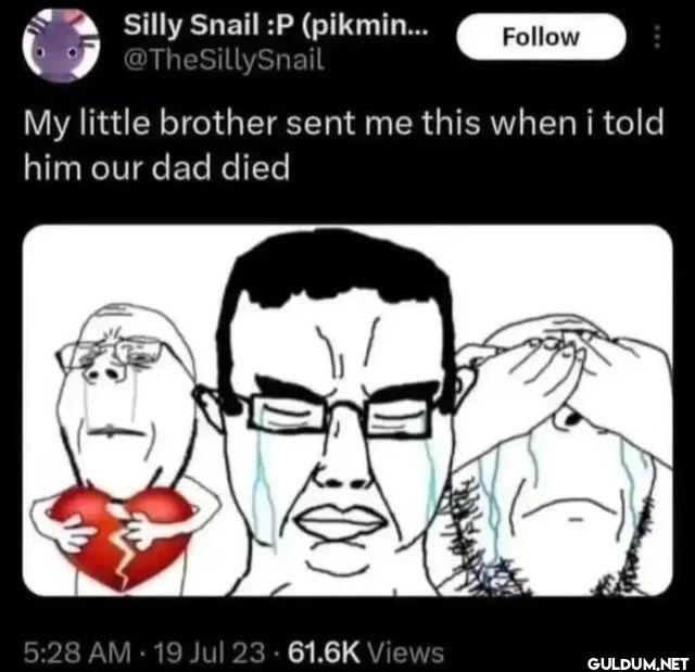 My little brother sent me...