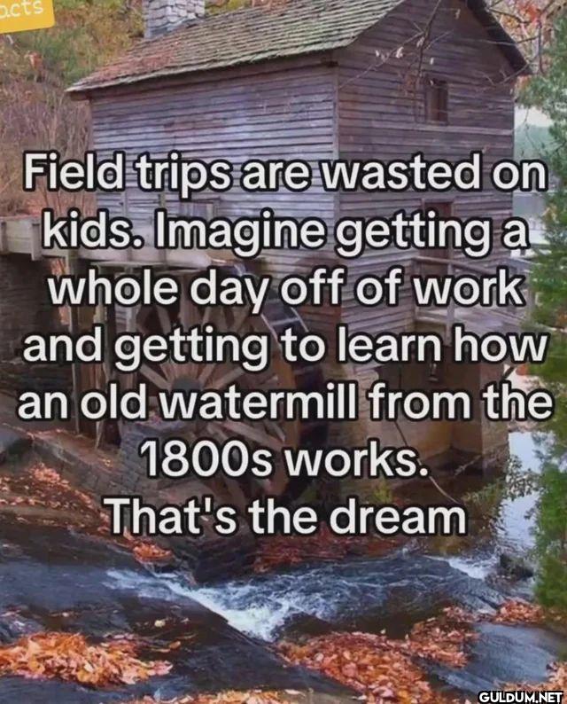 Field trips are wasted on...