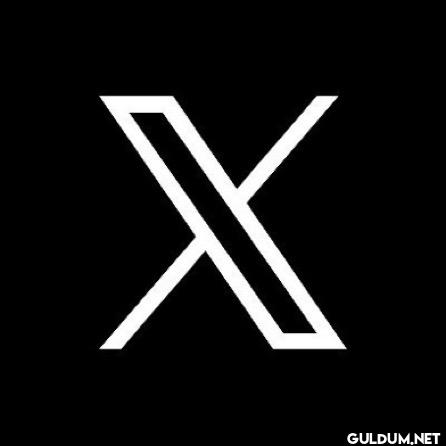 Elon Musk confirms X Money...