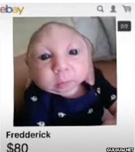 ebay Fredderick 80
