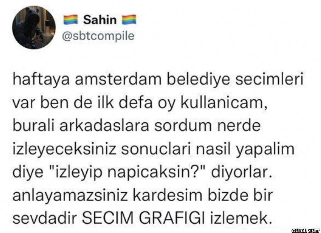 haftaya amsterdam belediye...