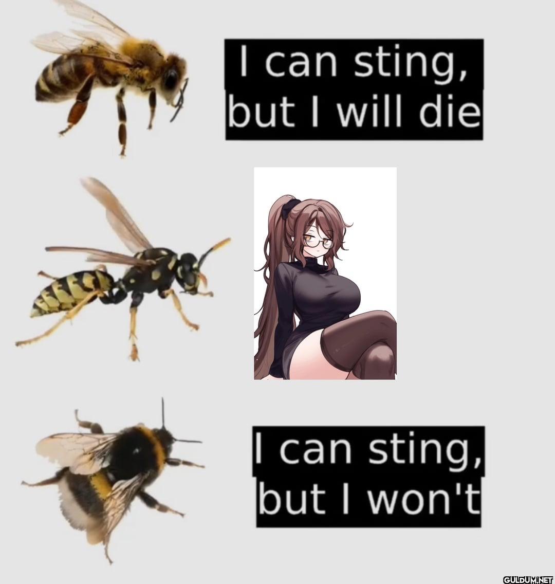 I can sting, but I will...