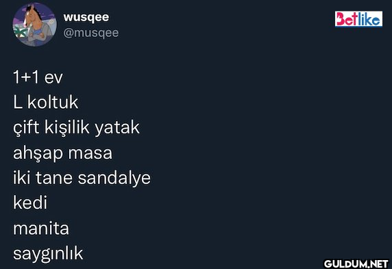 1+1 ev L koltuk çift...