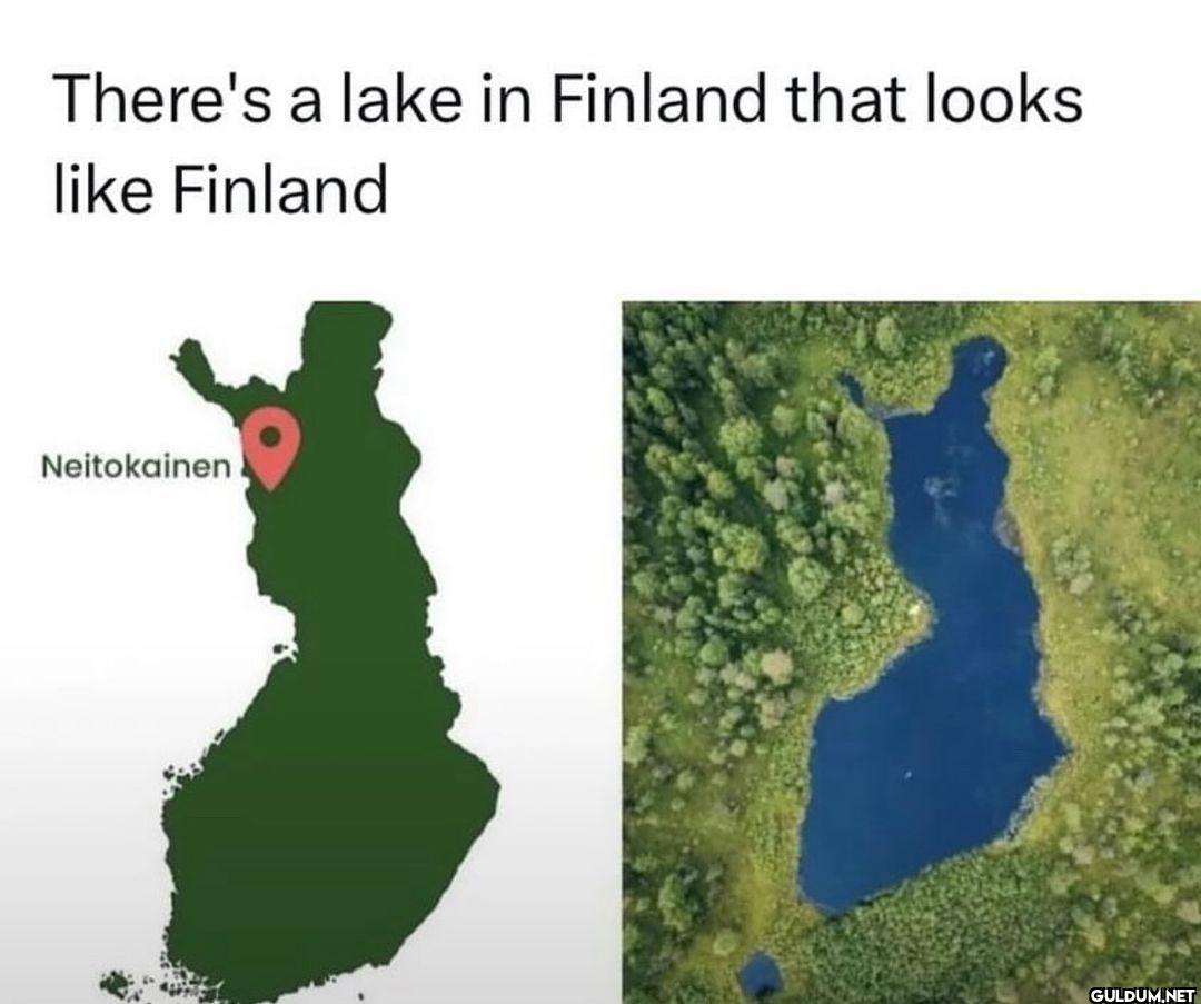Finland in Finland… nature...