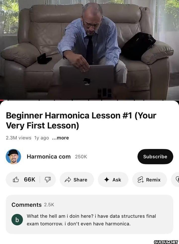Beginner Harmonica Lesson...