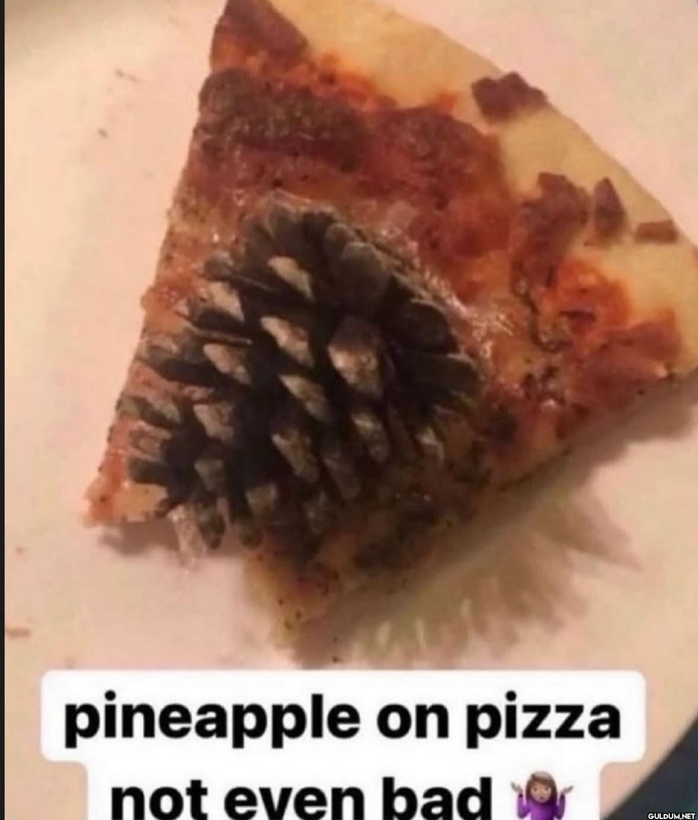pineapple on pizza not even bad