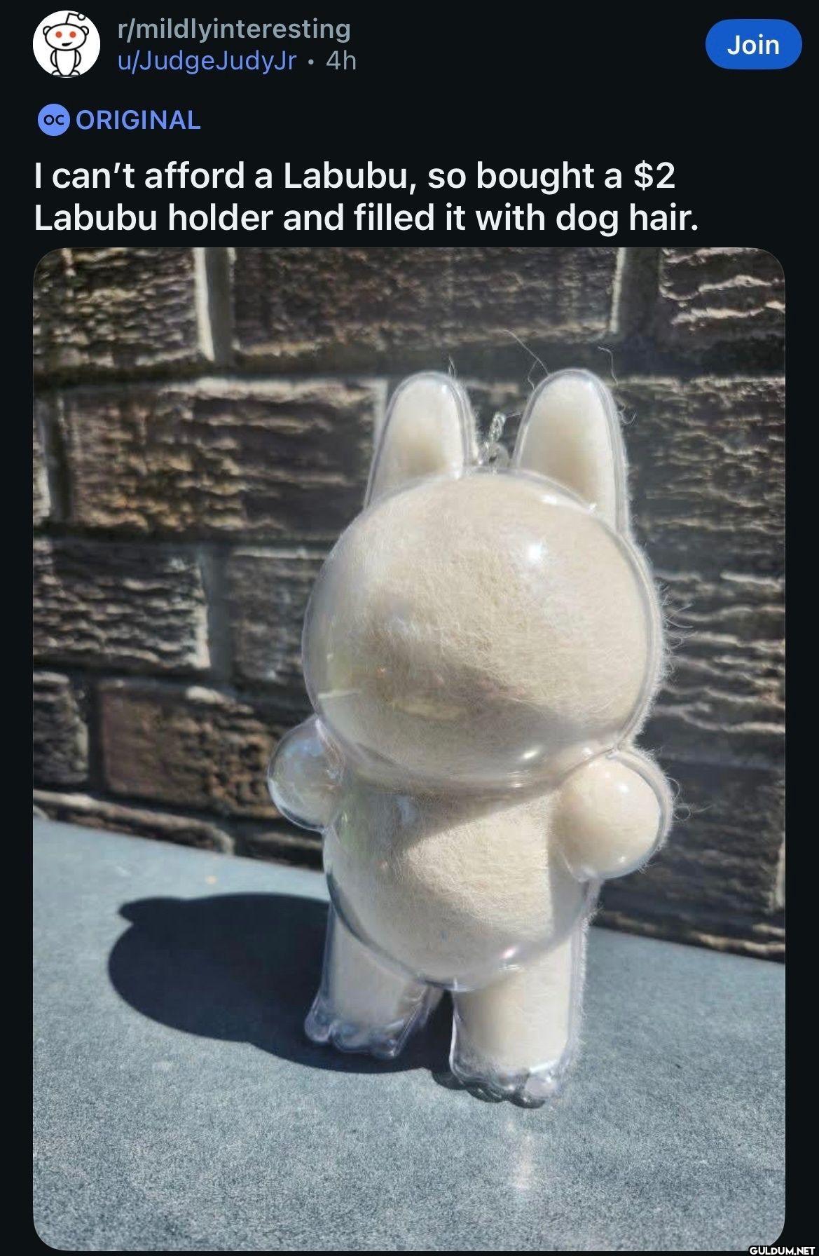 r/mildlyinteresting...