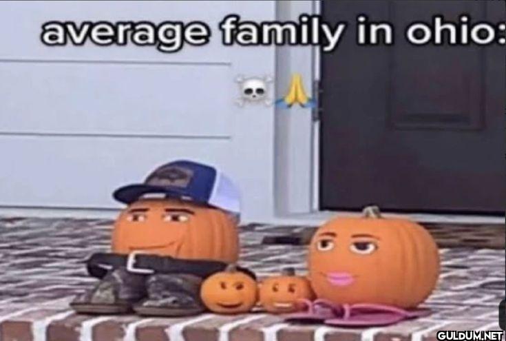 average family in ohio