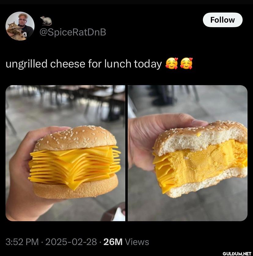 ungrilled cheese for lunch...