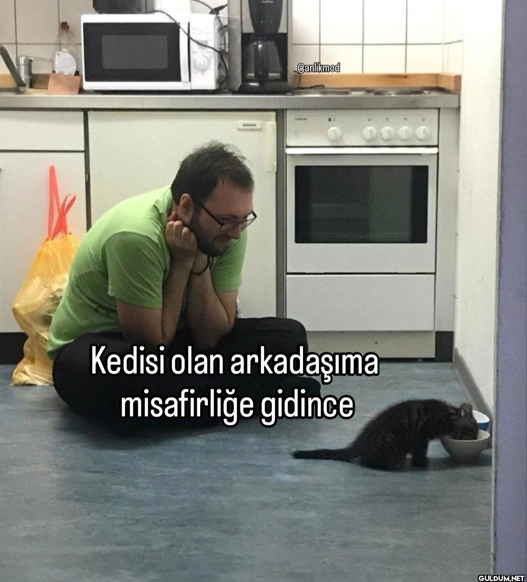 Banlikmod 000 Kedisi olan...