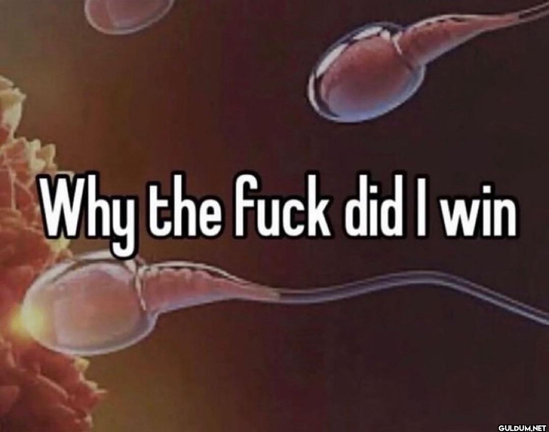Why the fuck did I win