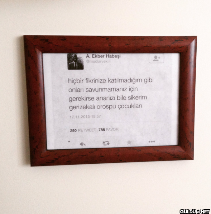 hiçbir fikrinize...