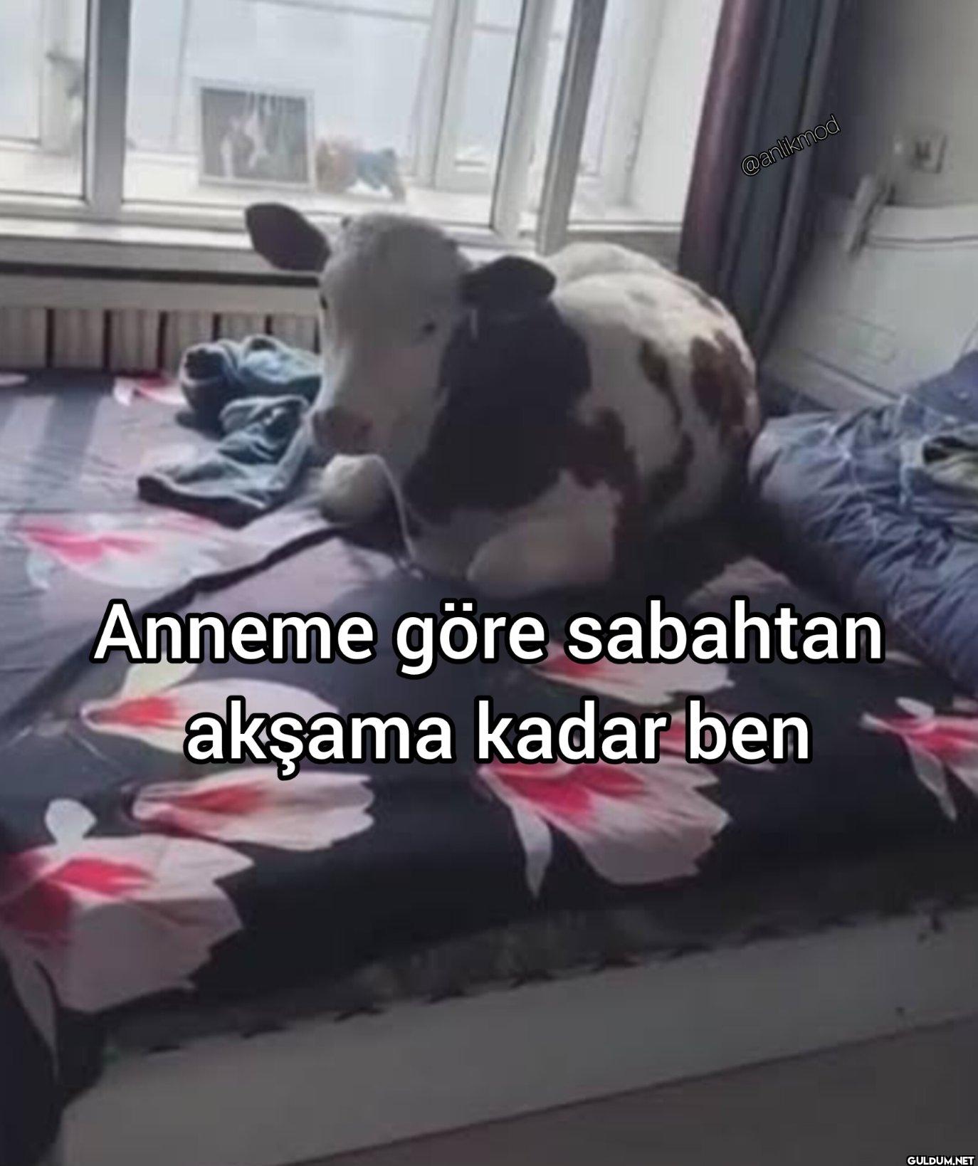 Anneme göre sabahtan...
