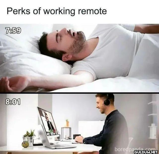 Perks of working remote boredpanda