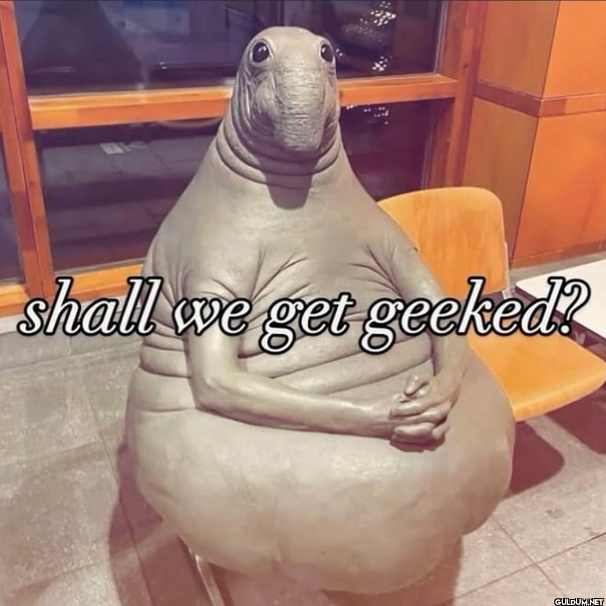 shall we get geeked?