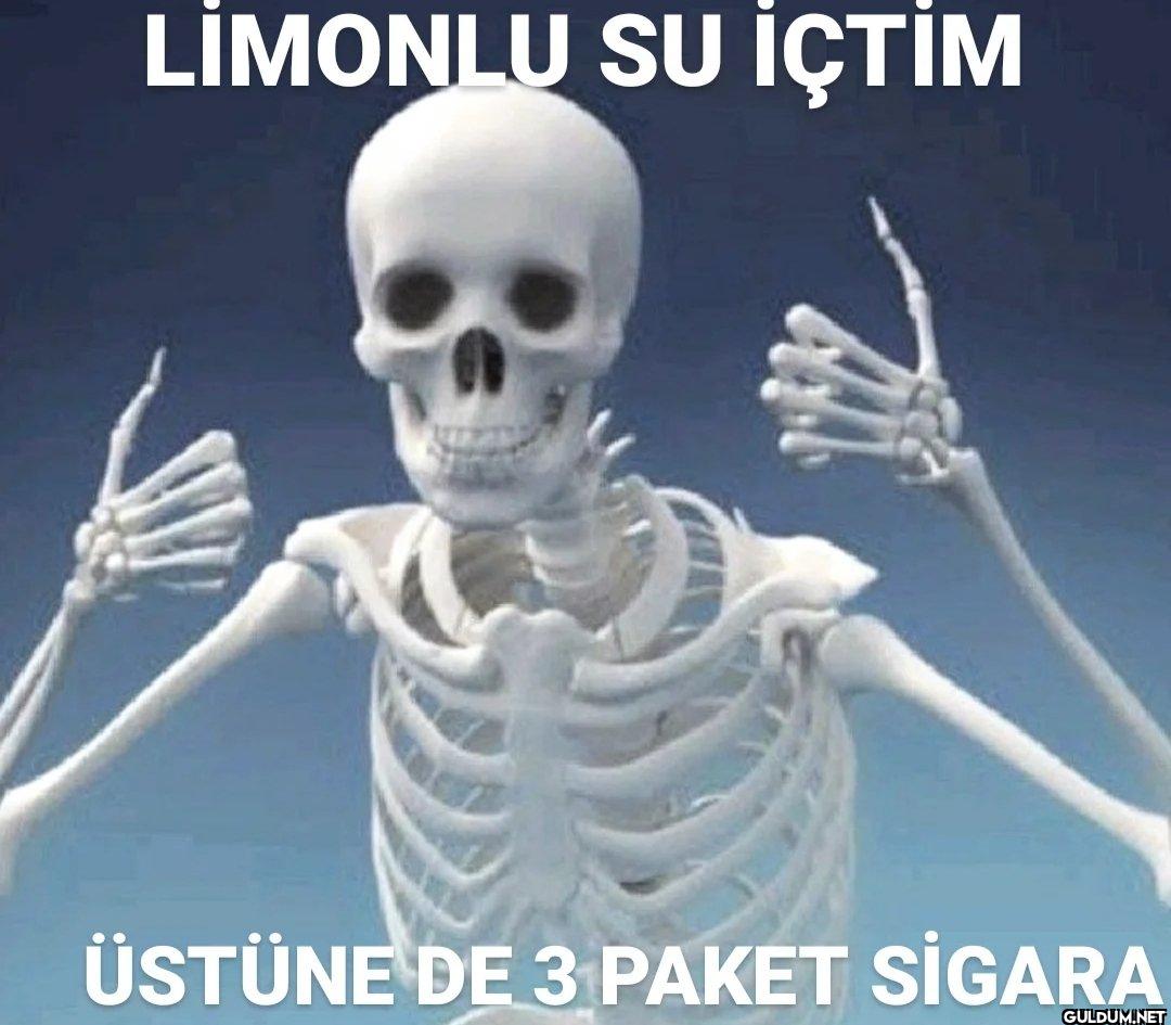 LİMONLU SU İÇTİM ÜSTÜNE DE...