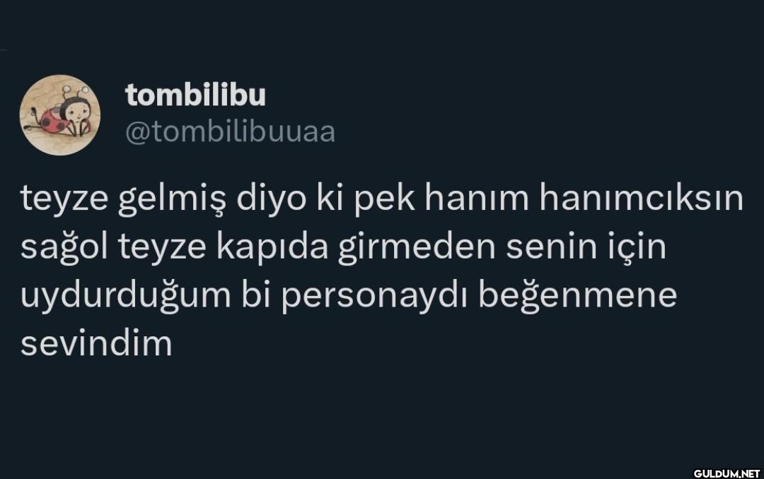 teyze gelmiş diyo ki pek...