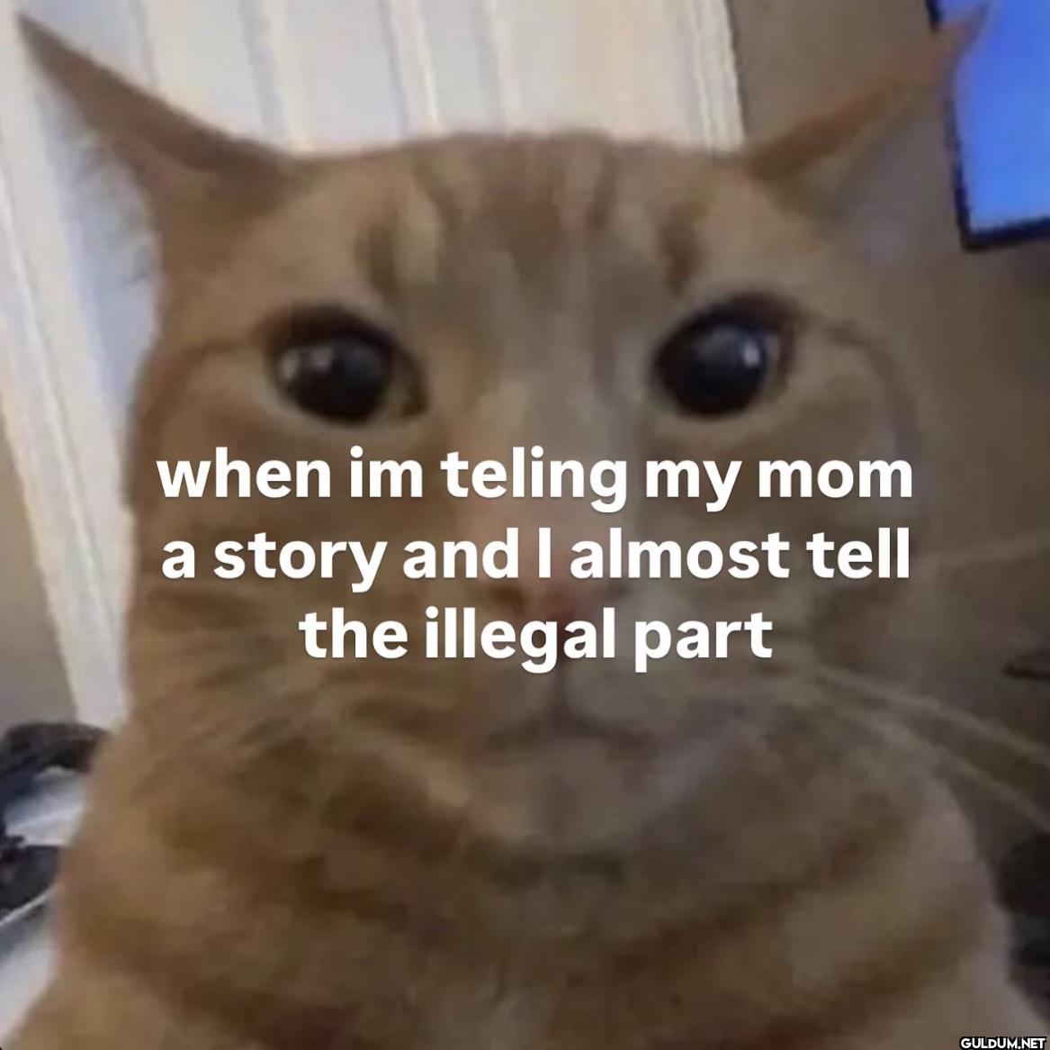 when im teling my mom a...