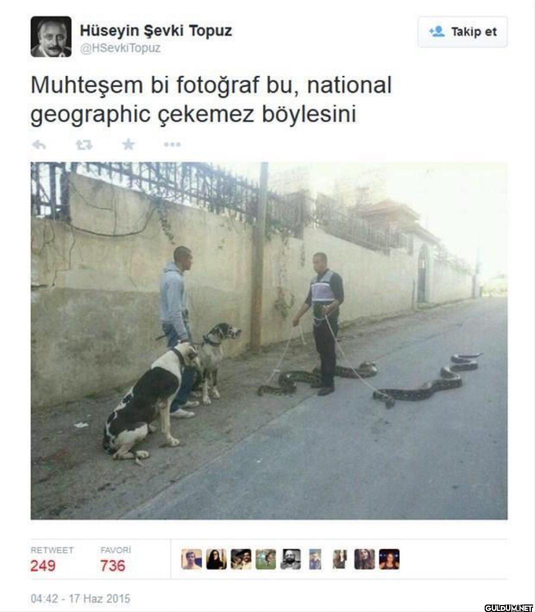 Muhteşem bi fotoğraf bu,...