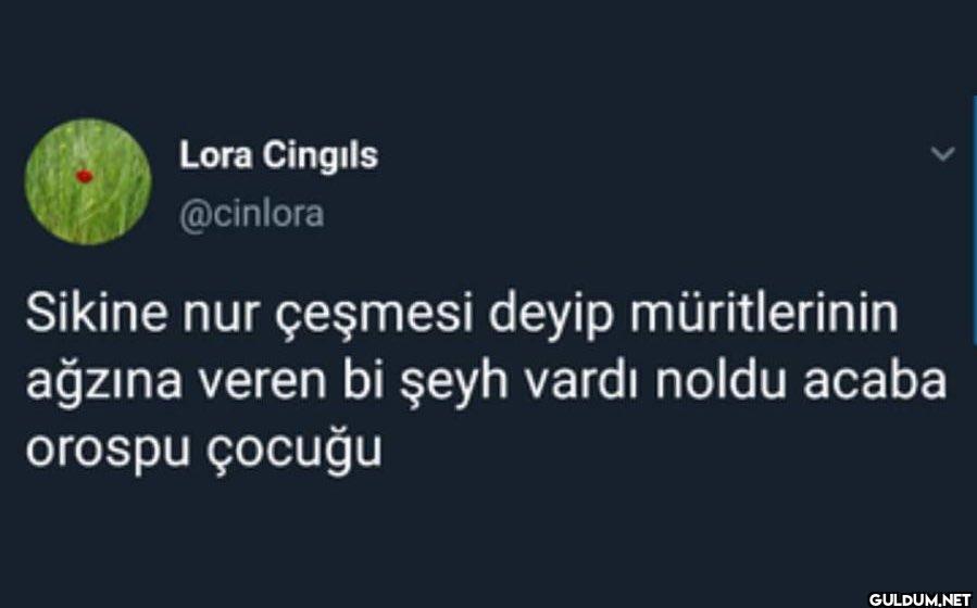 Sikine nur çeşmesi deyip...