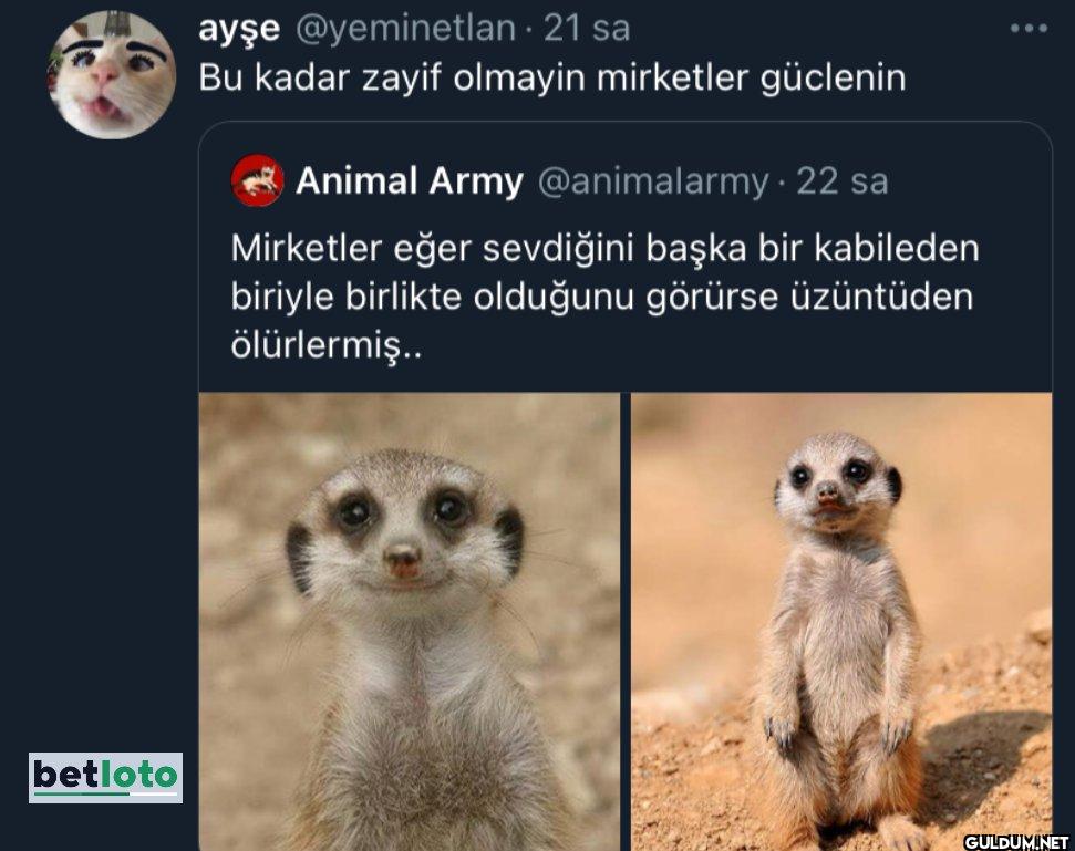 - 21 sa Bu kadar zayif...