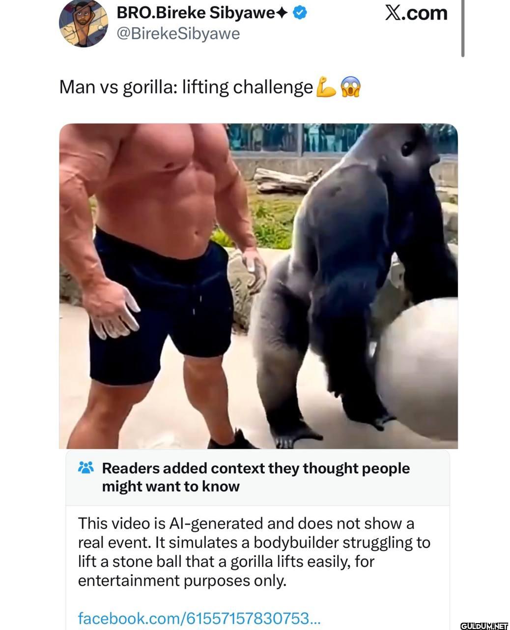 Man vs Gorilla is AI   ...