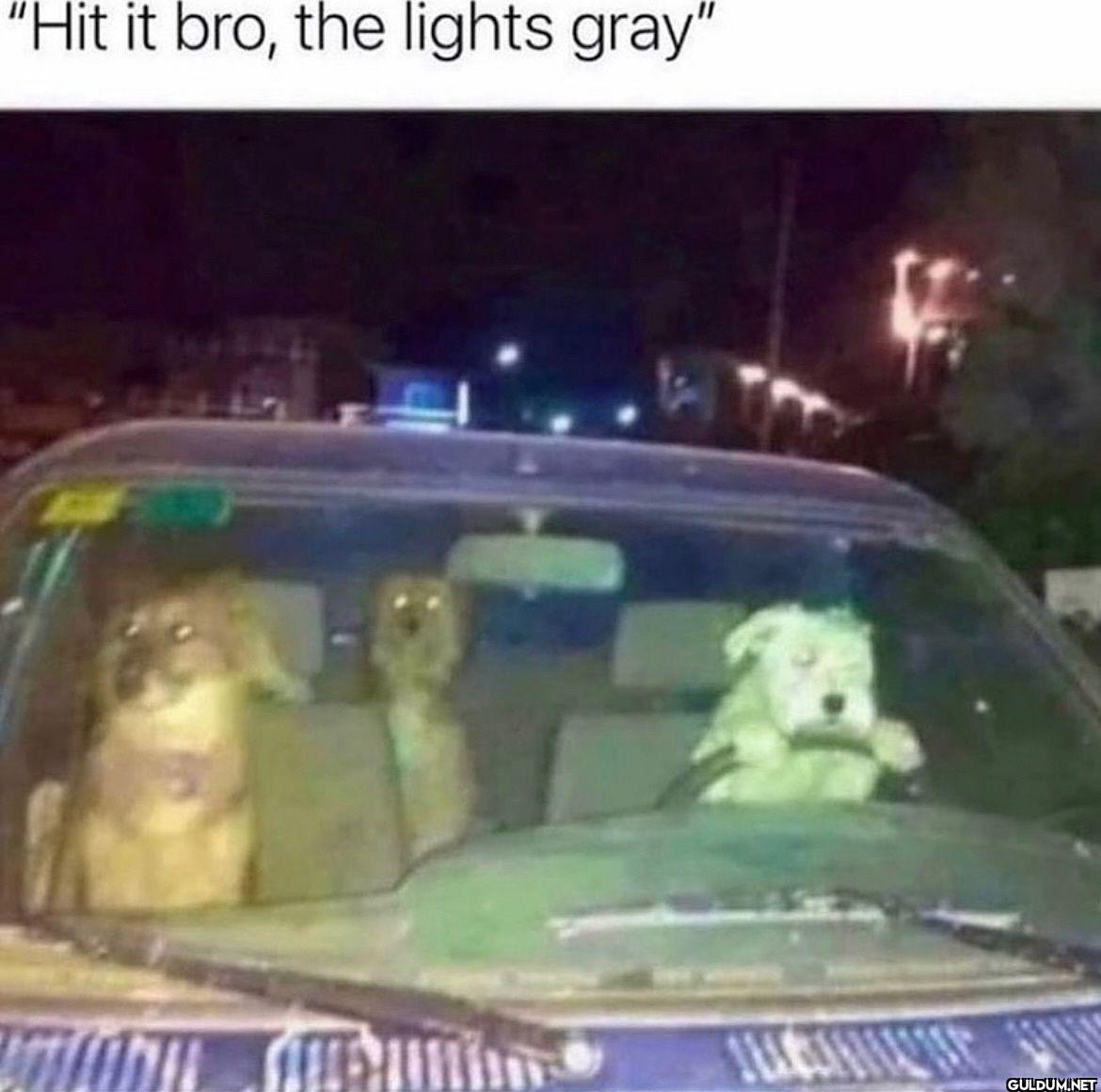 Hit it bro, the lights gray