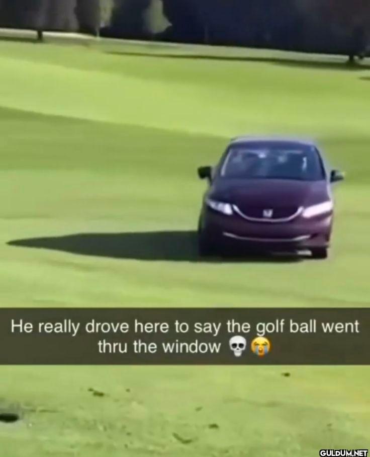 He really drove here to...