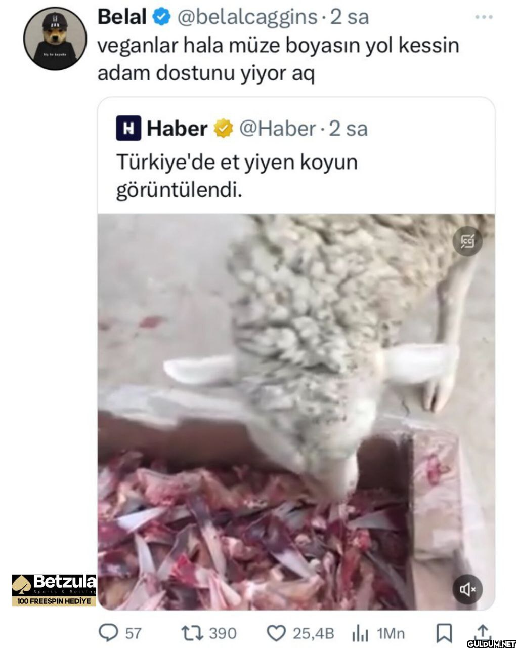 - 2 sa veganlar hala müze...