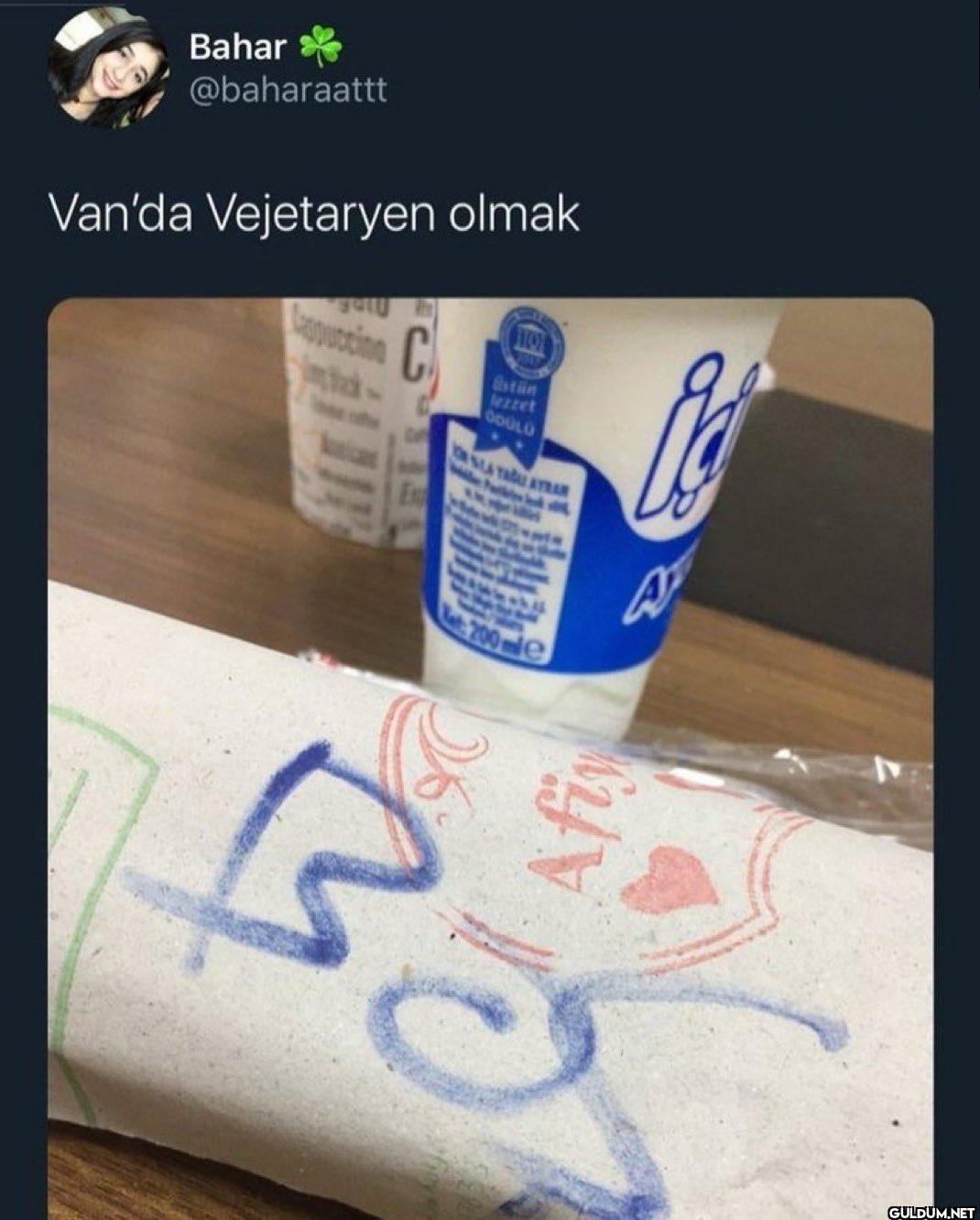 Van'da Vejetaryen olmak...