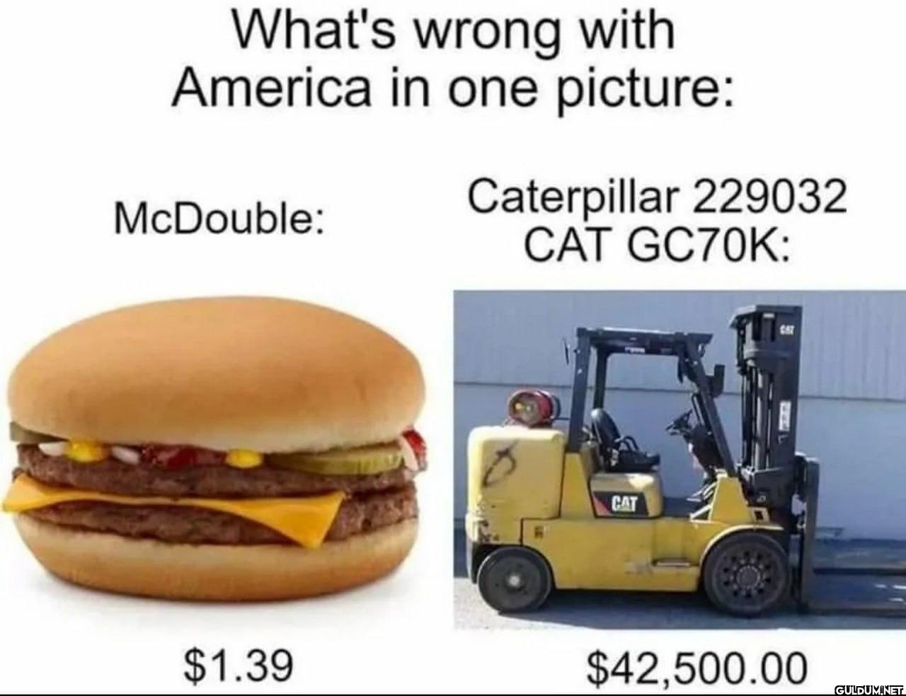 What's wrong with America...