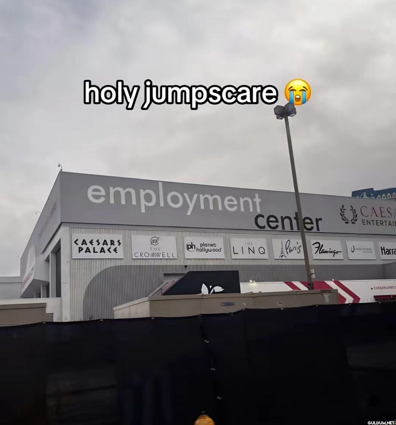 holy jumpscare employment...
