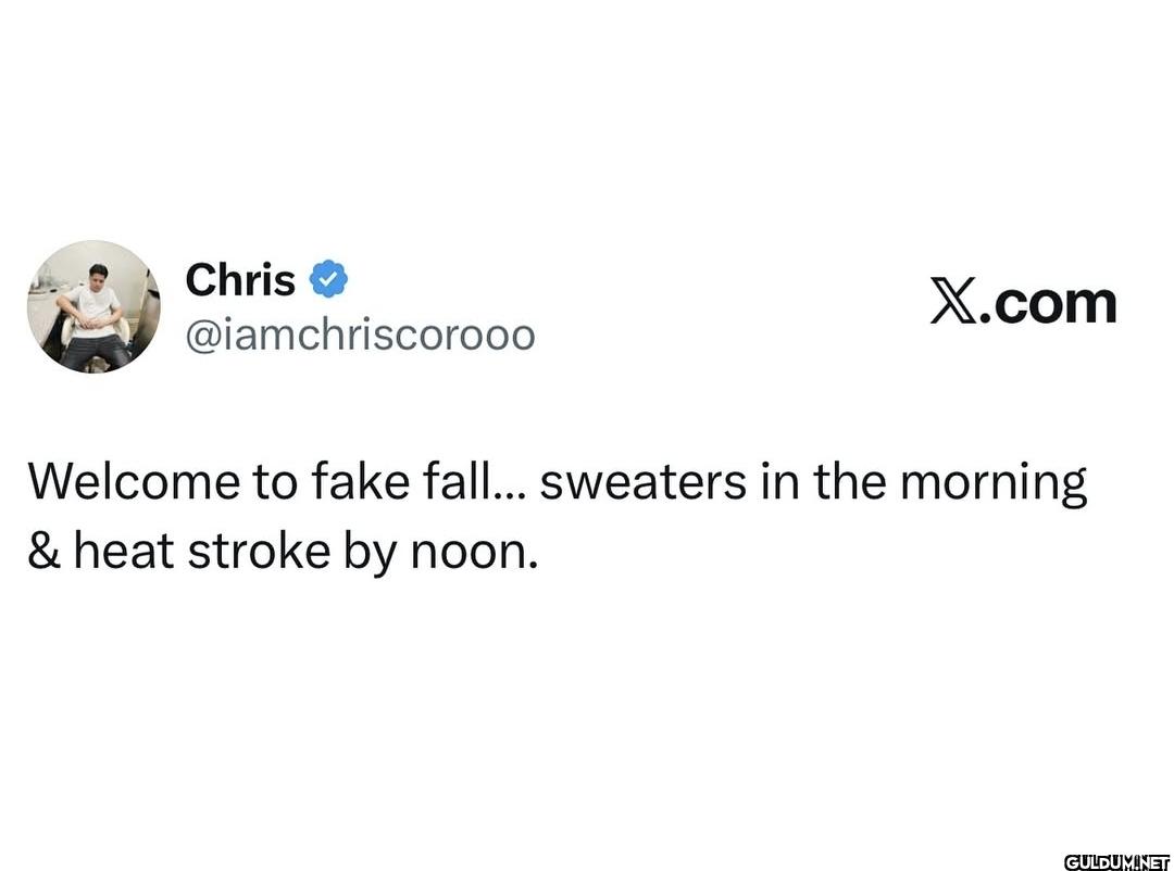 Welcome to fake fall......