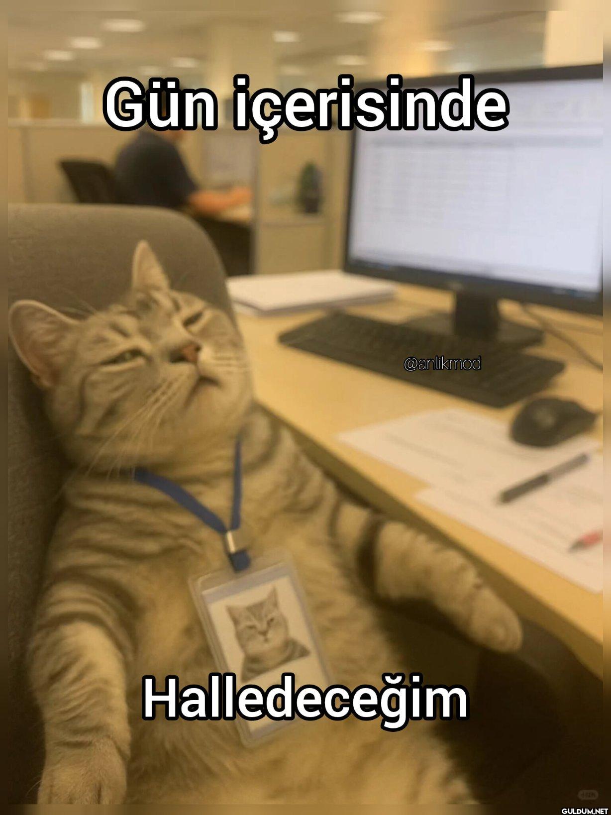 Halledeceğim 4129