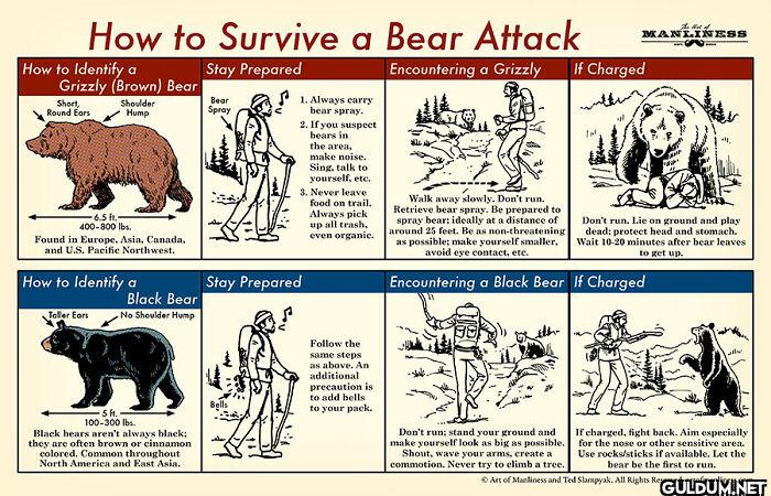 8. How To Survive A Bear...