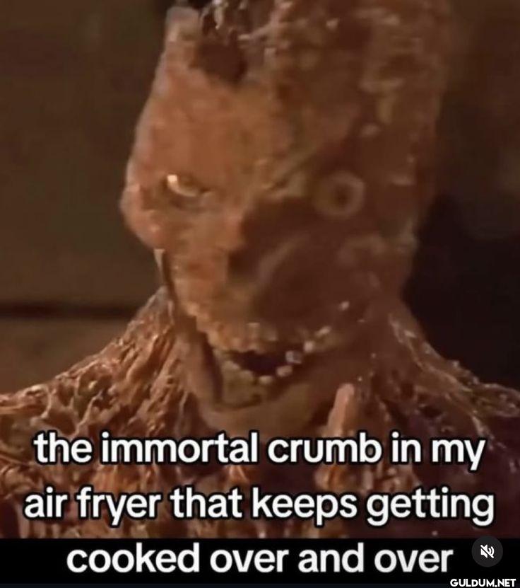 0 the immortal crumb in my...