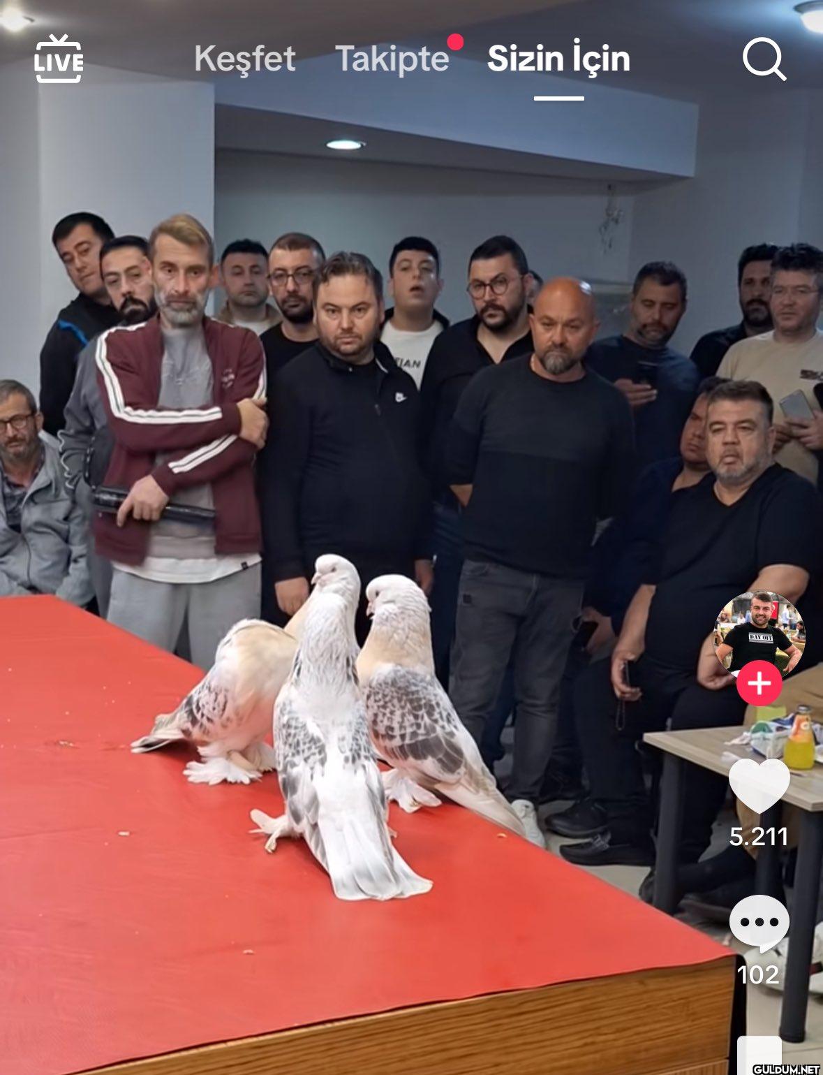 Şu odagın yarısı hayatımı...