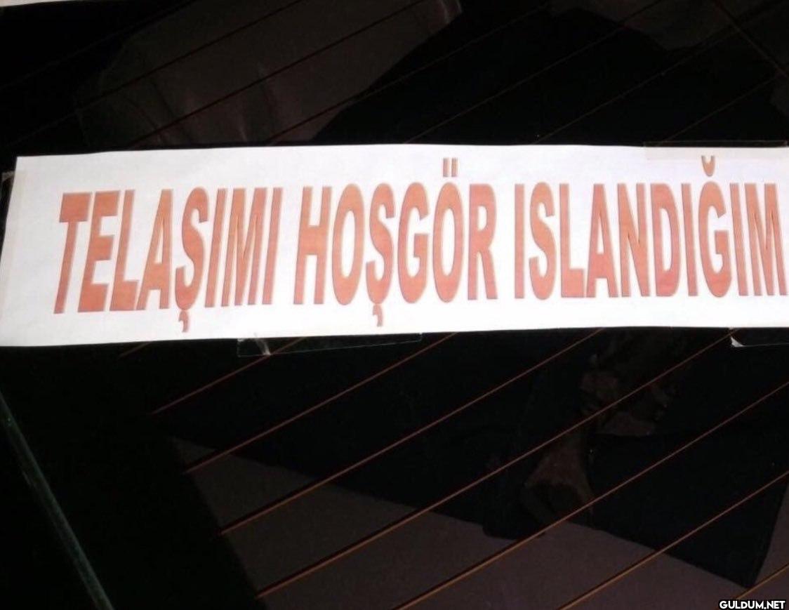 TELASIMI HOSGOR ISLANDIĞIM