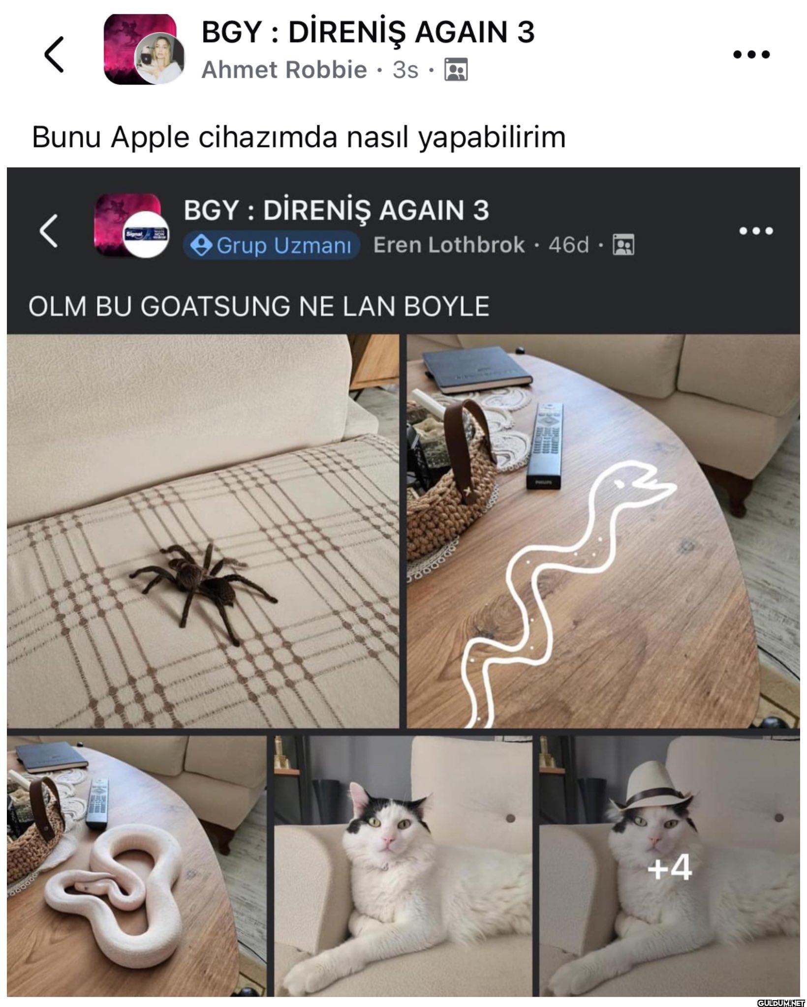 Uygulamaları ana ekranda...