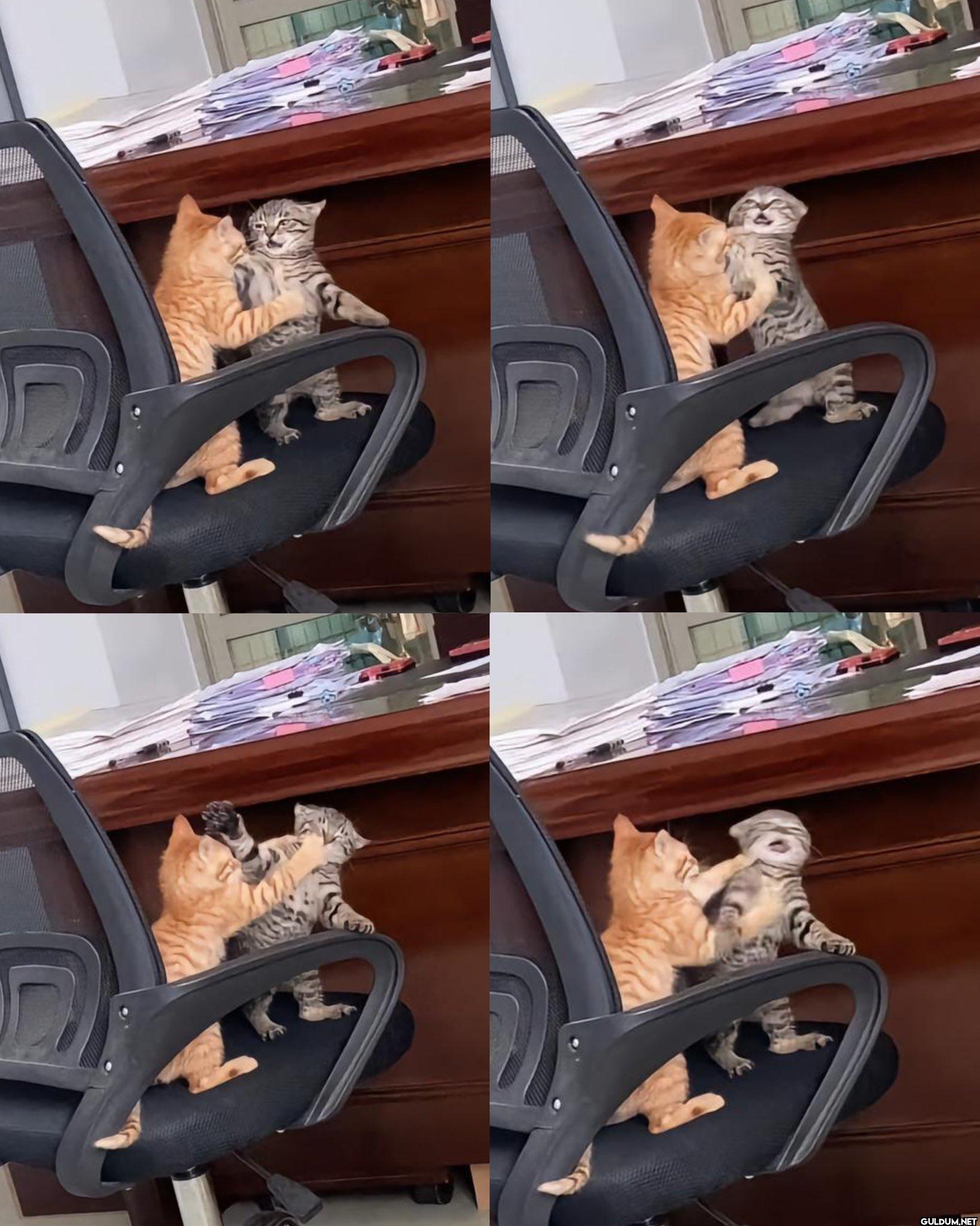 Koltuk kavgası 🥰