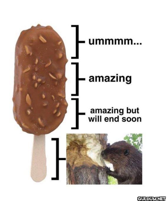 ︎ ︎    ummmm... amazing }...