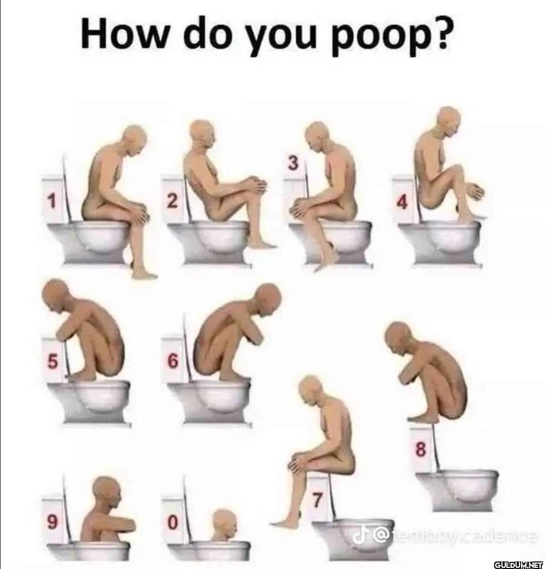 How do you poop? 1 2 3 9...