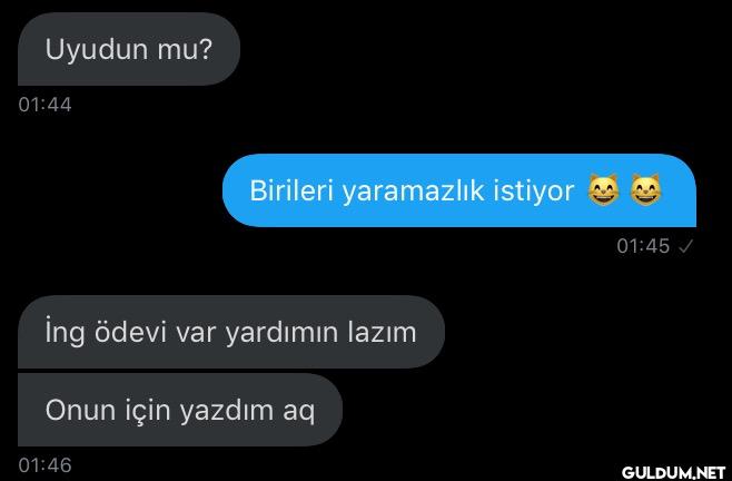Uyudun mu? 01:44 Birileri...