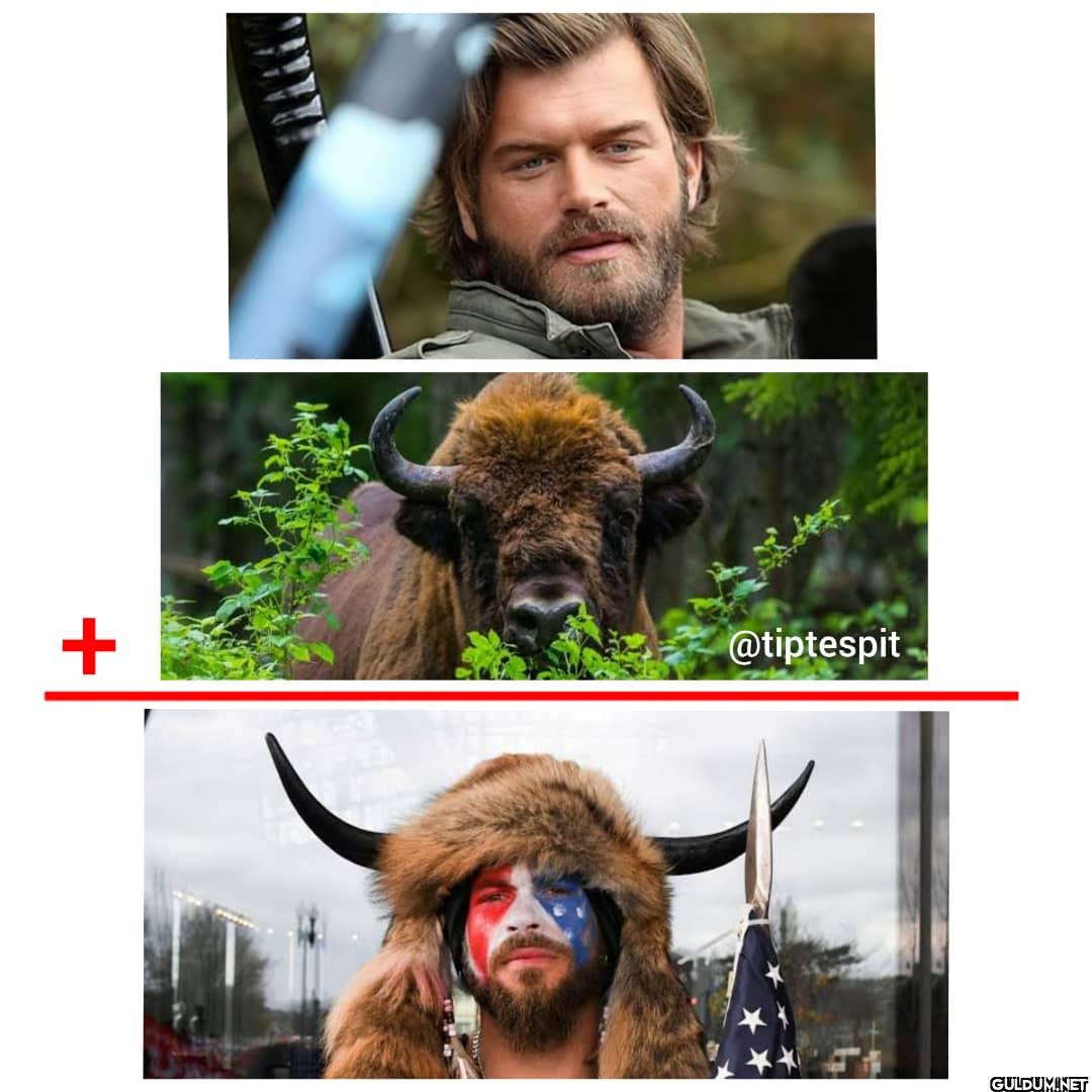Kıvanç Tatlıtuğ + Bizon =...