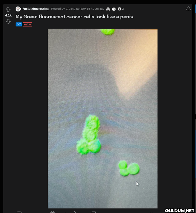 Popular post