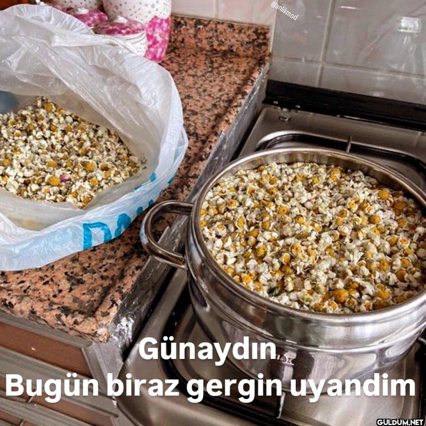 Banlikmod Günaydın Bugün...