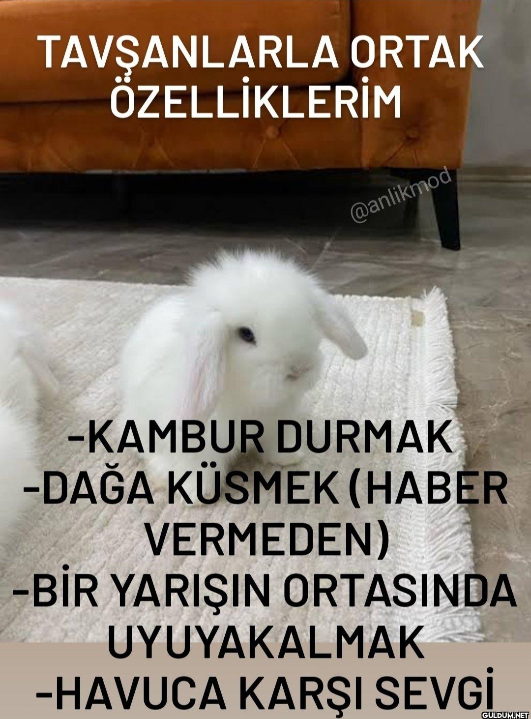 -KAMBUR DURMAK -DAĞA...