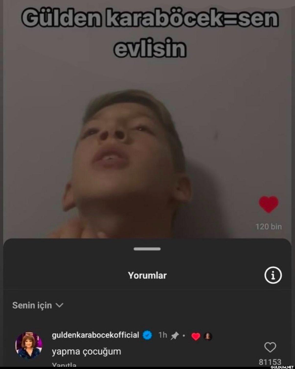 Gülden karaböcek=sen...