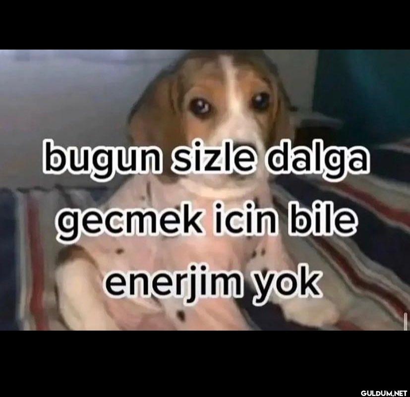 bugun sizle dalga gecmek...