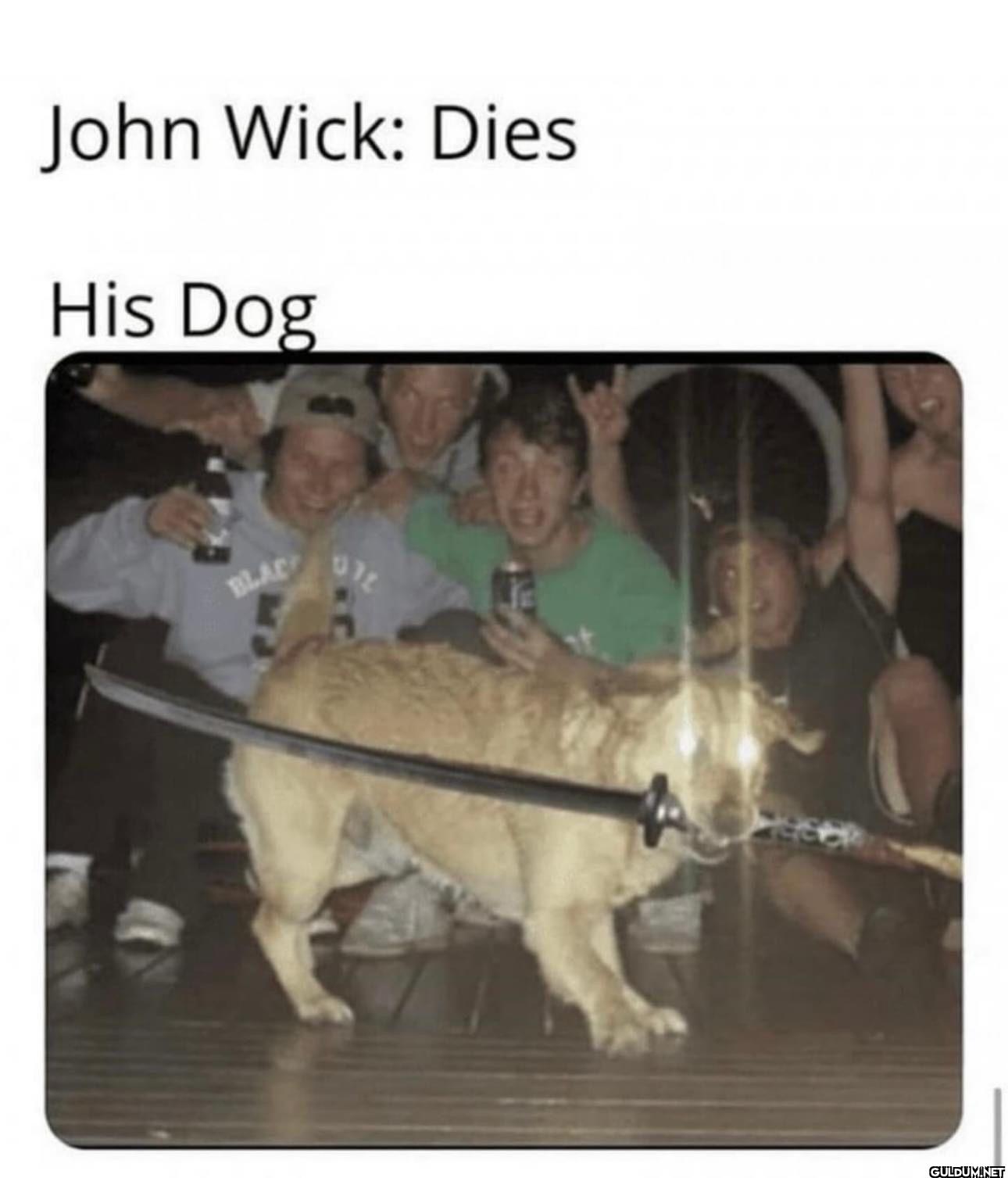 John Wick: Dies His Dog BLAC